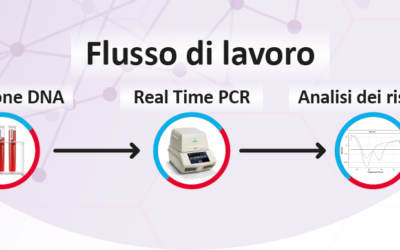 Fattori di Coagulazione e Rischio Cardiovascolare: Test Rapidi e Automatizzati con Real Time PCR